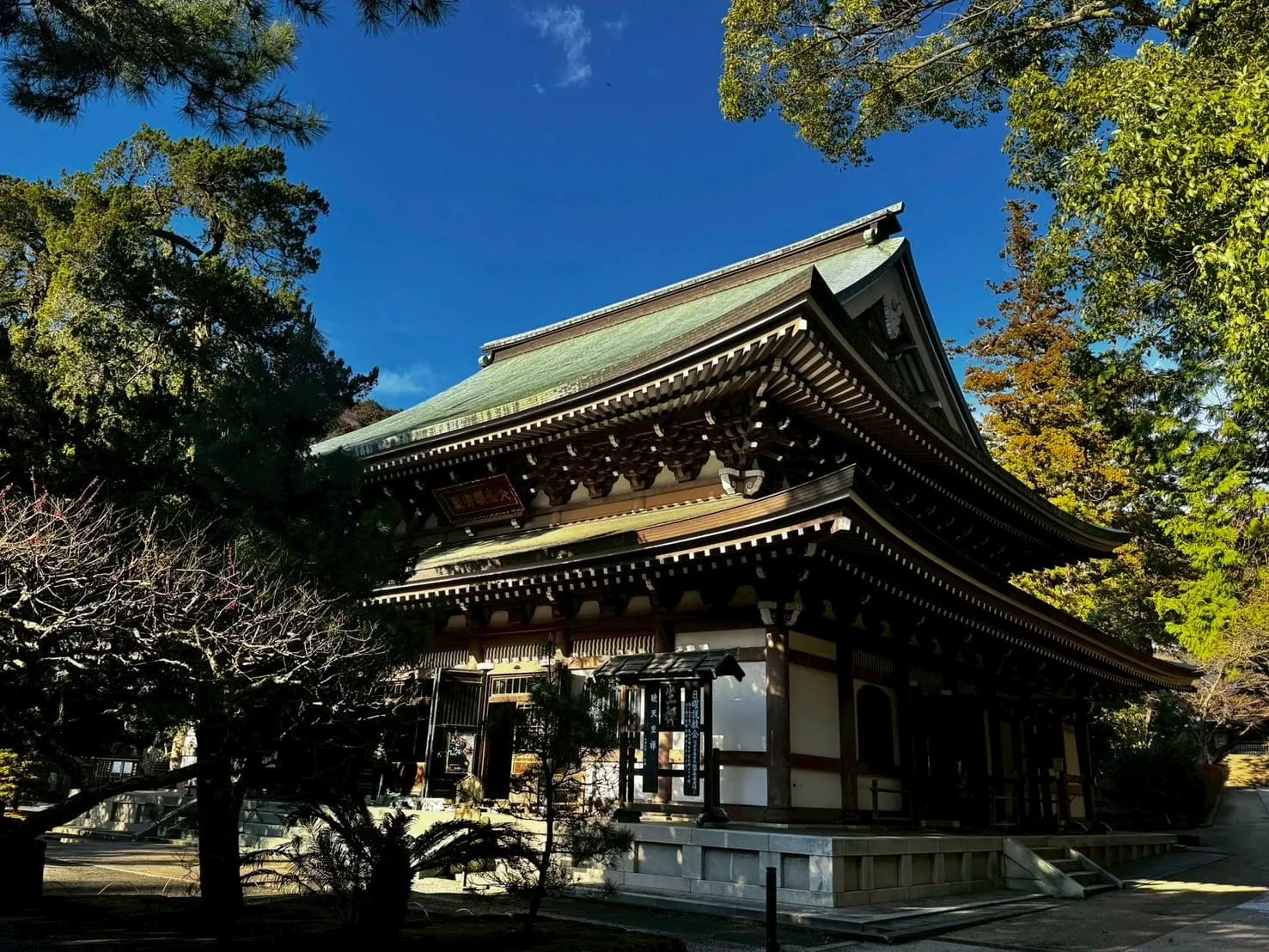 【神奈川県鎌倉市】円覚寺 収蔵庫|除カビ処理・除菌処理
