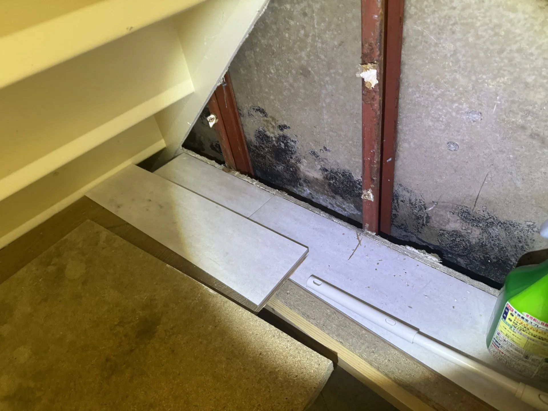 東京都文京区の歯科医院でカビ菌検査を実施|漏水による院内カビ被害と火災保険活用の実例